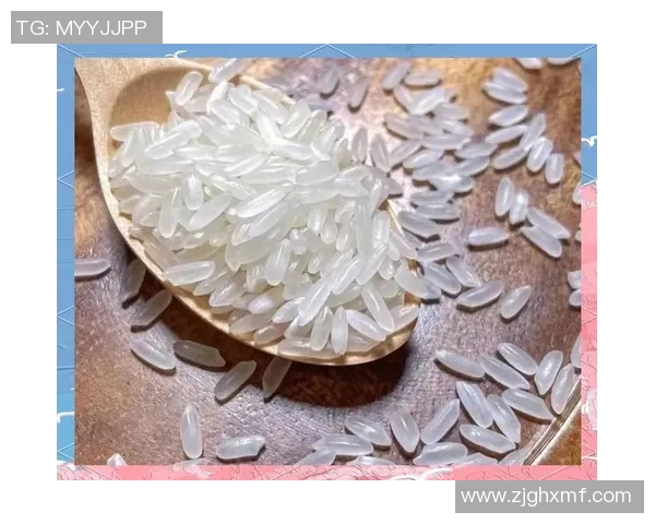 大米的营养价值与健康影响探索：从田间到餐桌的全方位分析