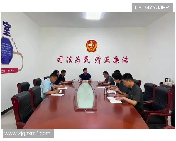 法律视角下的现代社会治理与司法公正的协同发展路径探讨